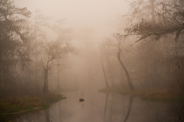 Misty morning on Lake Martin, LA