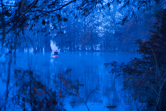 Lake Martin, Breaux Bridge, Louisiana