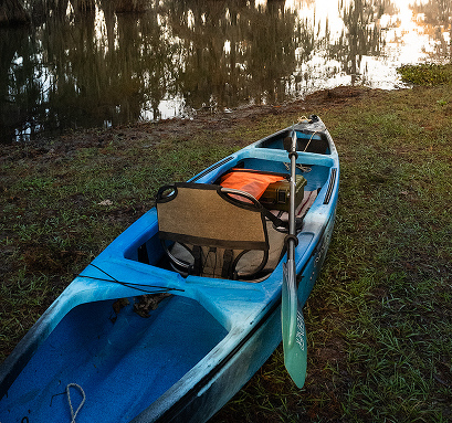 Kayaking at Lake Martin, a bald cypress swamp, Breaux Bridge, Louisiana, USA