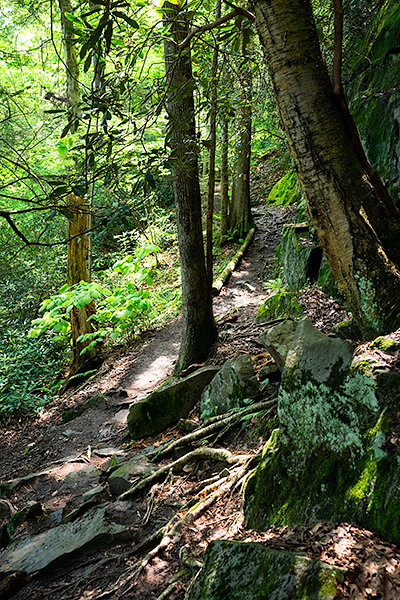 hiking trail cucumber falls