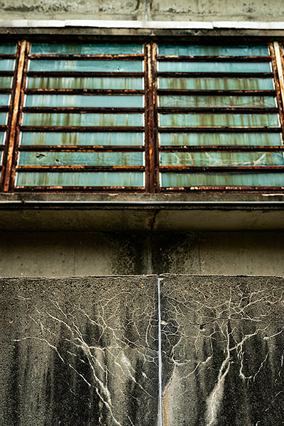 Trans-Allegheny Lunatic Asylum