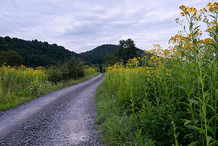 Off the beaten path in West Virginia