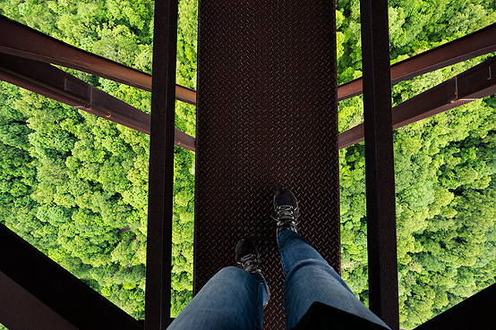 Bridge Walk, Red RIver Gorge West Virginia