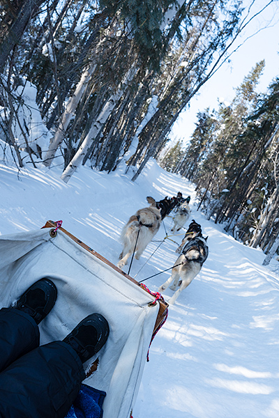 dog sledding winter activities in Yellowknife