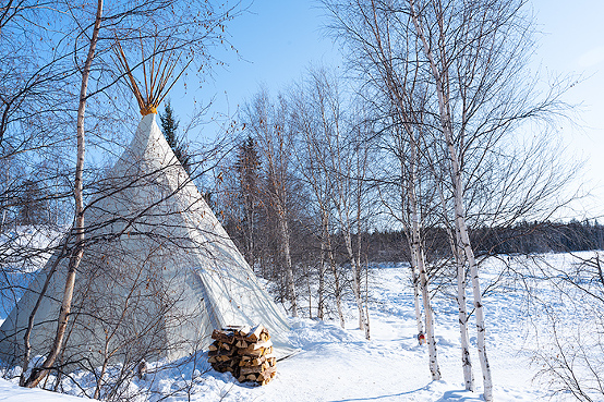 dog sledding winter activities in Yellowknife