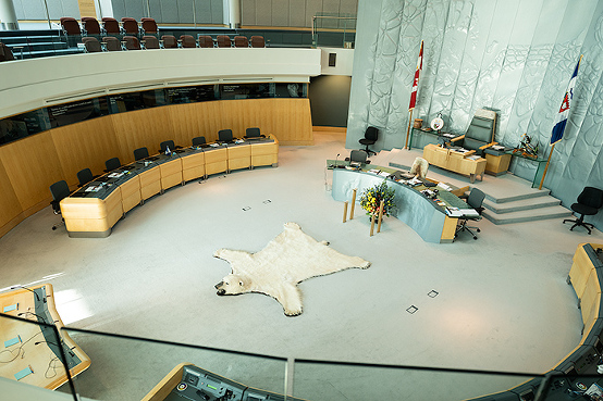 polar bear rug at tribal council NWT, Yellowknife