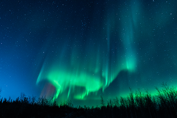 Aurora Viewing in Yellowknife