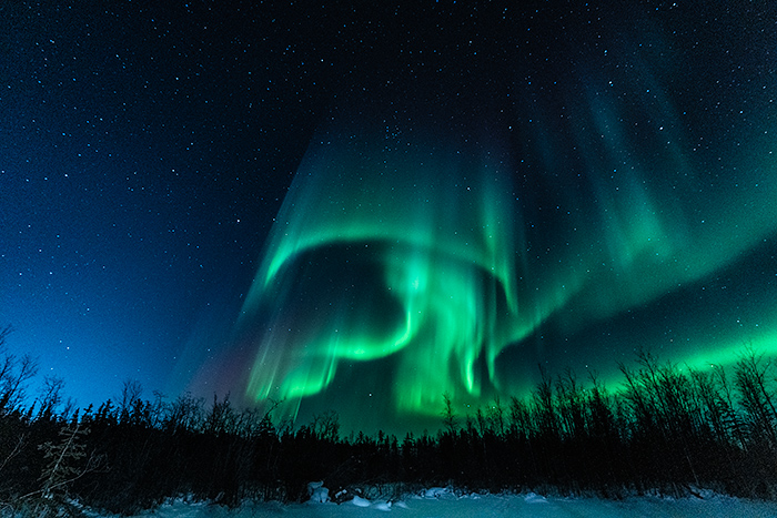 Aurora Viewing in Yellowknife