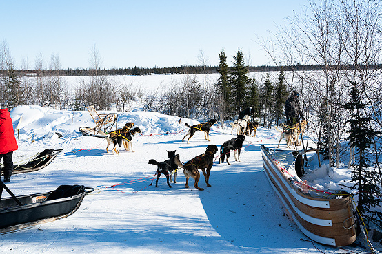 Winter activities in Yellowknife, NWT, Canada