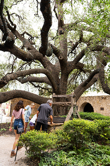 Alamo, exploring San Antonio Missions in Texas