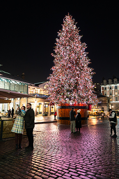 Convent Gardens tree, London at Christmas