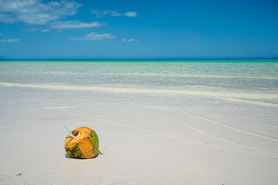 Coconut on Isla Holbox, Mexico