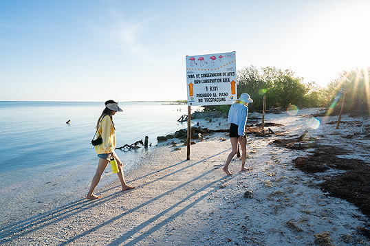 trail to Yum Balam Reserve Isla Holbox