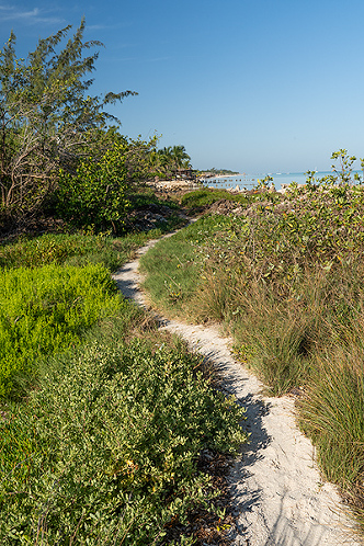 mangrove trail to beach Isla Holbox