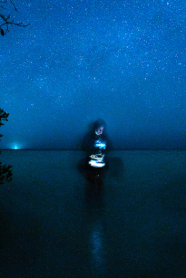 Bioluminscence on Isla Holbox