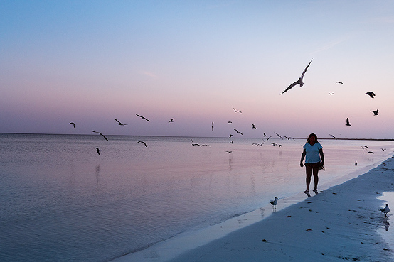 sunrise Isla Holbox