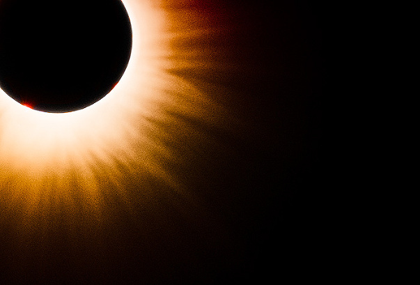 Corona flower during the Total Solar Eclipse 2024 over Indiana