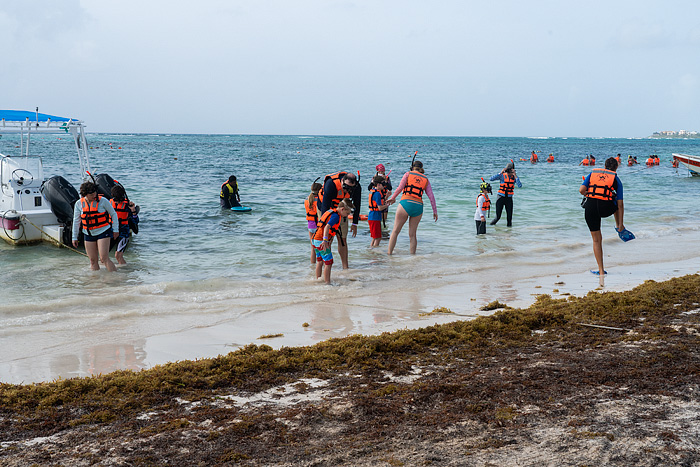 snorkeling with sea turtles in Akmul Bay, Mexico