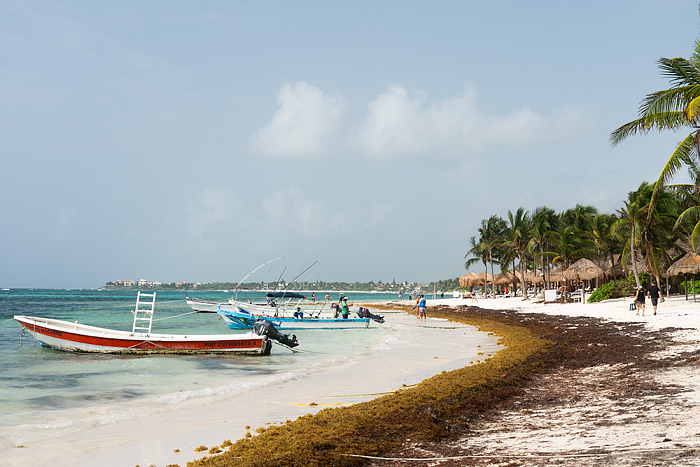 snorkeling with sea turtles in Akmul Bay, Mexico