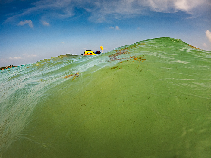 snorkeling with sea turtles in Akmul Bay, Mexico