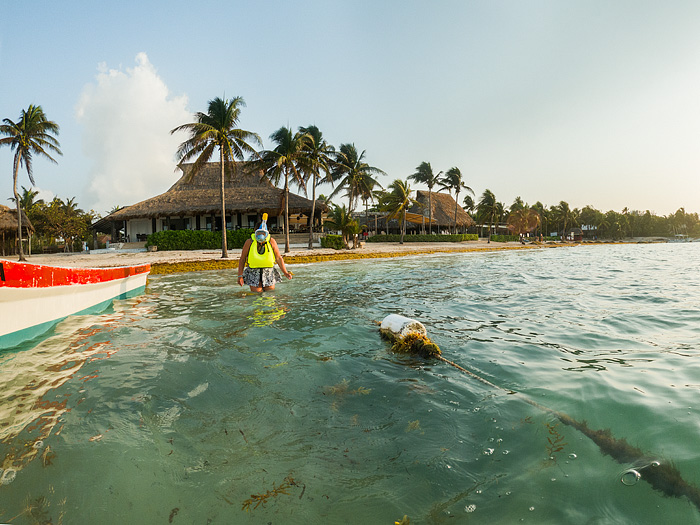 snorkeling with sea turtles in Akmul Bay, Mexico