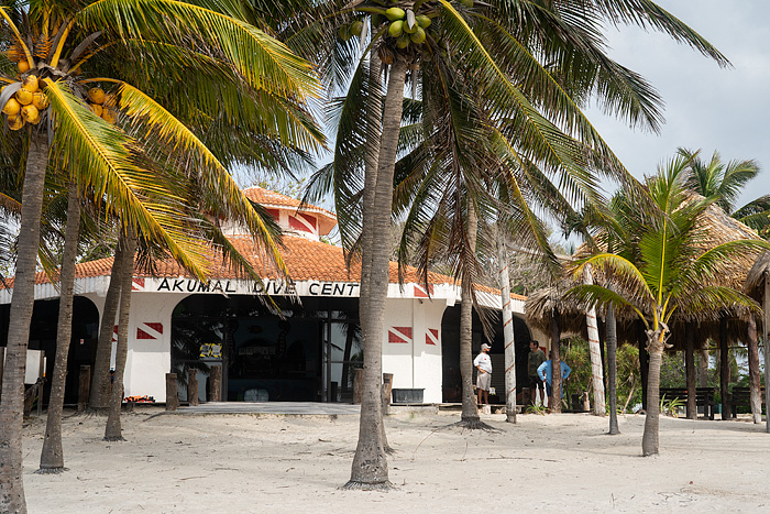 akmul dive center