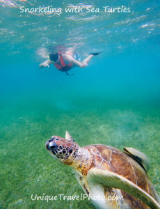 snorkeling with sea turtles in Akmul Bay, Mexico