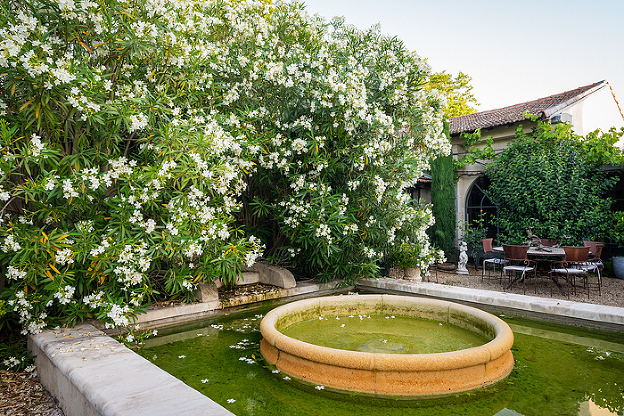 pretty fountain and flowers seen in village during our small group tour in Provence