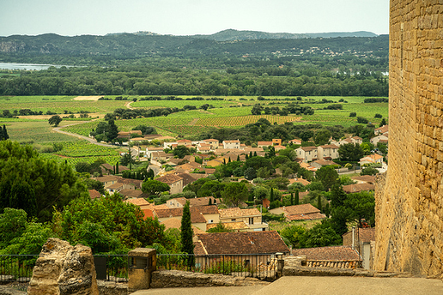 vineyards at Chateaneuf-du-Pape winery on our small group tour in Provence