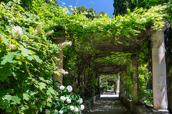 secret spot on our small group tour in Provence