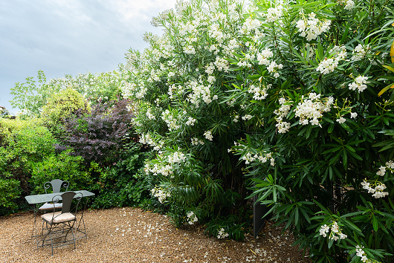 inn, small group tour in Provence, France