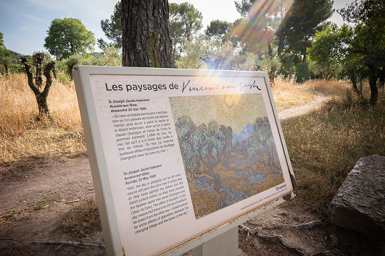 van Gogh, St. Remy, Provence, France