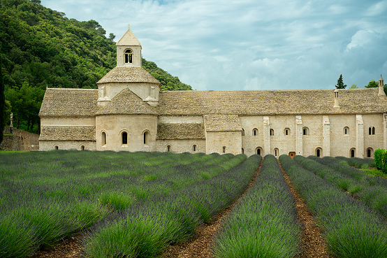 small group tour in Provence, France