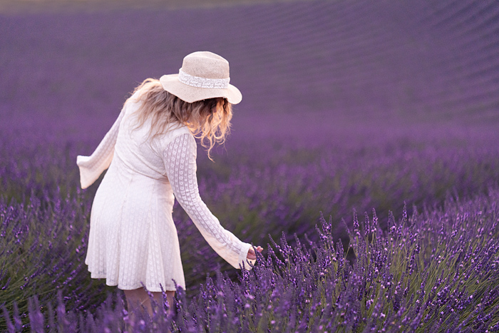 Pretty blond woman in a white dress walks through a blooming lavender field, Valensole, Provence, France