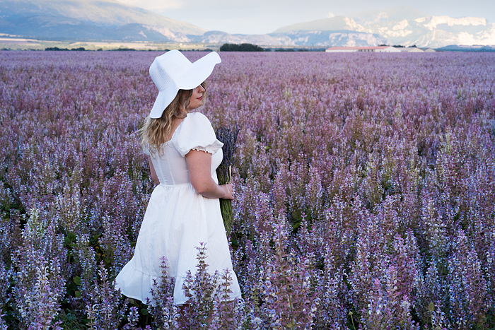 Clary sage, Pretty blond woman in a white dress walks through a blooming field, Valensole, Provence, France