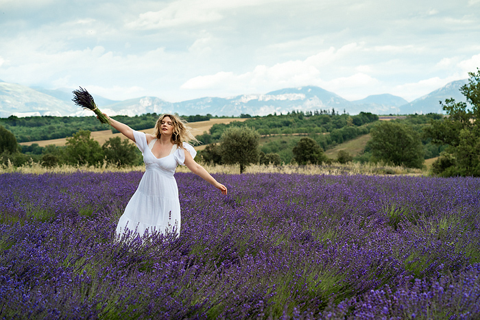 Lavender in Provence, Valensole, France