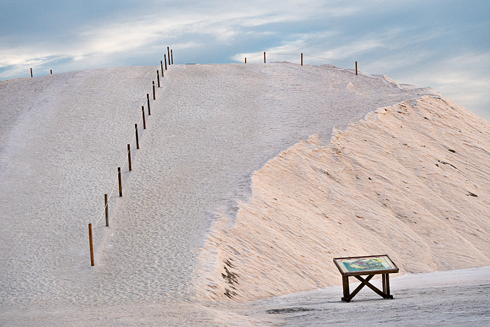 salt Camel at Salin d