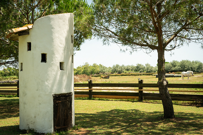 Dovecote with Camargue horses in distance, France